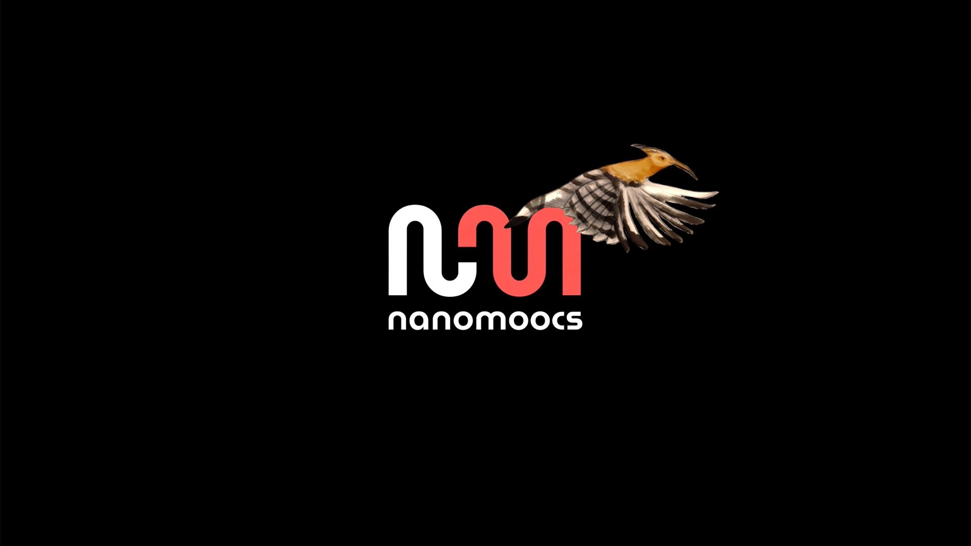 Nanomoocs – Què s’espera del teu pla?